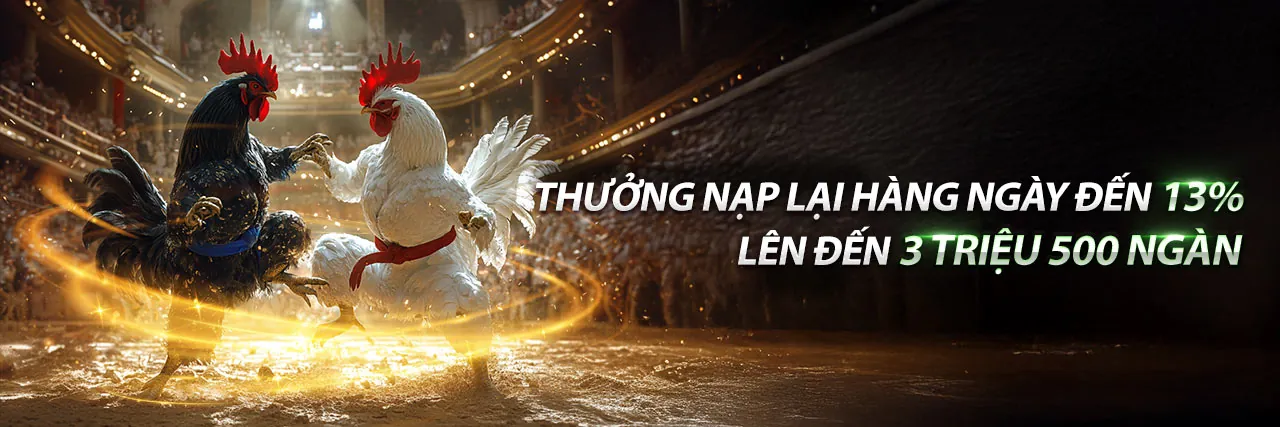 Hướng dẫn lựa chọn nền tảng giải trí trực tuyến uy tín 888new10 nhà cái